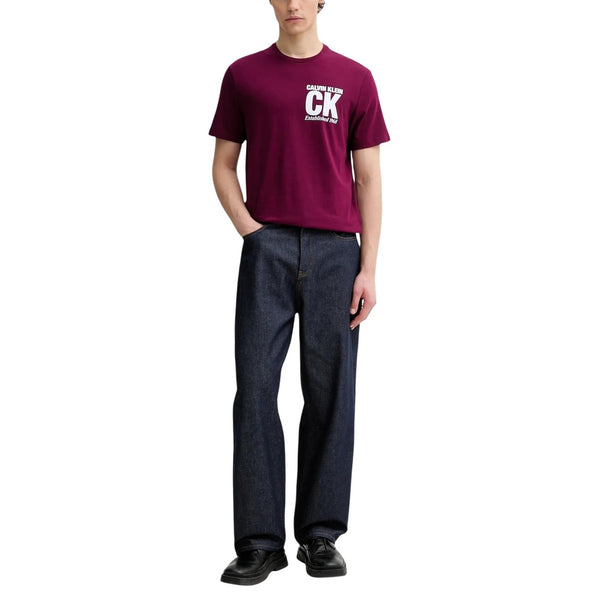 Calvin Klein T-Shirt Uomo — vista 2