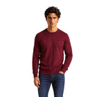 Tommy Hilfiger Maglia Uomo immagine 1