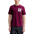 Calvin Klein T-Shirt Uomo immagine 1