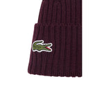 Lacoste Cappello Uomo immagine 2