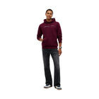 Tommy Hilfiger Jeans Felpa Uomo immagine 2
