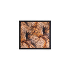 Desigual Sciarpa Donna immagine 1